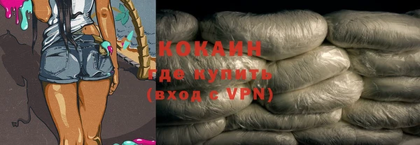 прущие грибы Волосово