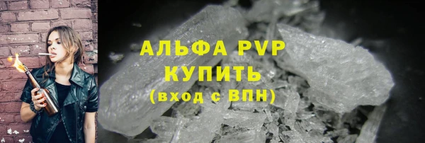 ГАЛЛЮЦИНОГЕННЫЕ ГРИБЫ Верея