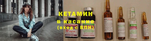 прущие грибы Волосово