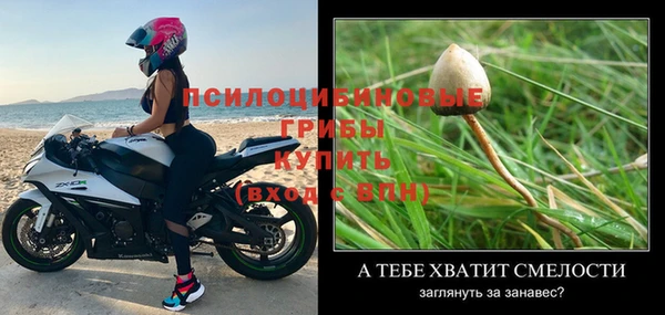 прущие крисы Володарск