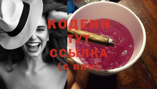 ГАЛЛЮЦИНОГЕННЫЕ ГРИБЫ Верея