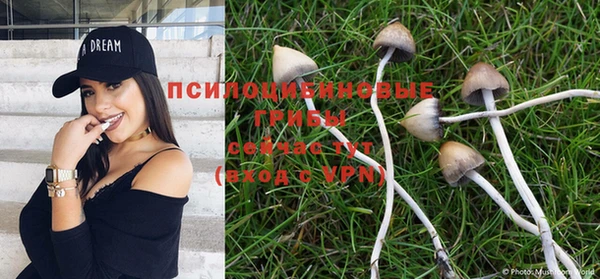 мескалин Верхнеуральск