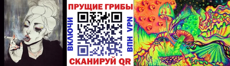 купить  цена  Ногинск  Галлюциногенные грибы GOLDEN TEACHER 